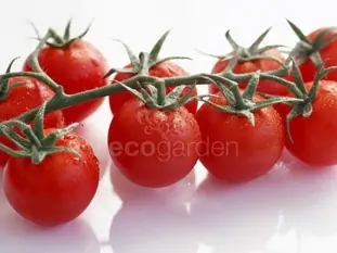 Выращиваем правильные 